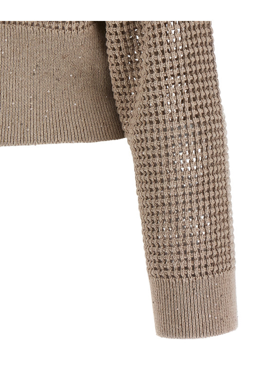 Cadrigan sequin mesh Beige