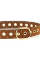 Studded belt Brown