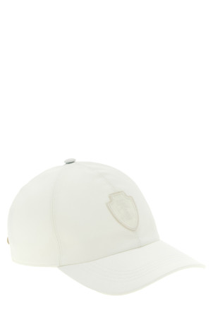 Heraldic coat of arms cap White