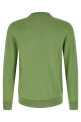 Argyle sweater Green