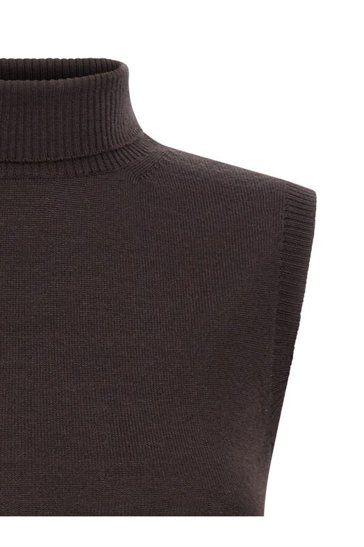 'Vertigo' wolf Brown