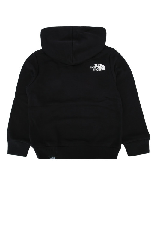 TEEN SIMPLE DOME LIGHT REG HOODIE THE NORTH FACE (NF0A8GR4)