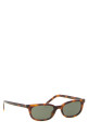 'SL M160' sunglasses Brown
