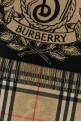 Embroidered cashmere scarf BURBERRY (8109374)