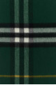 Embroidered cashmere scarf BURBERRY (8094653)