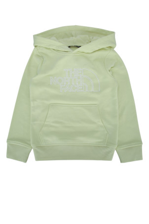 TEEN DREW PEAK LIGHT REG HOODIE THE NORTH FACE (NF0A8GR8)