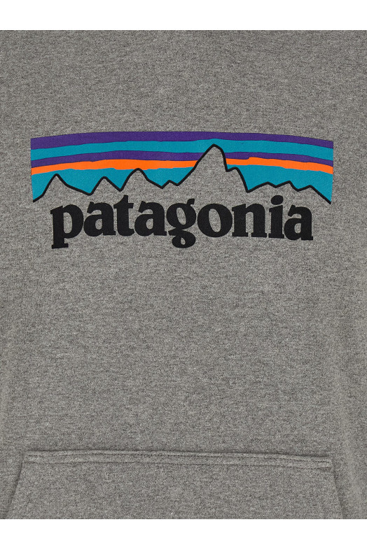 Толстовка с капюшоном «P-6 Logo Uprisal», серый цвет 39622GLH