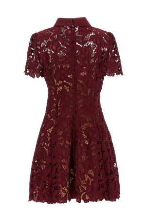 'Burgundy Lace Mini' dress Bordeaux