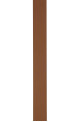 CINTURA SALVATORE FERRAGAMO (23A564674471)