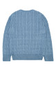 SWEATER POLO RALPH LAUREN (323702674)