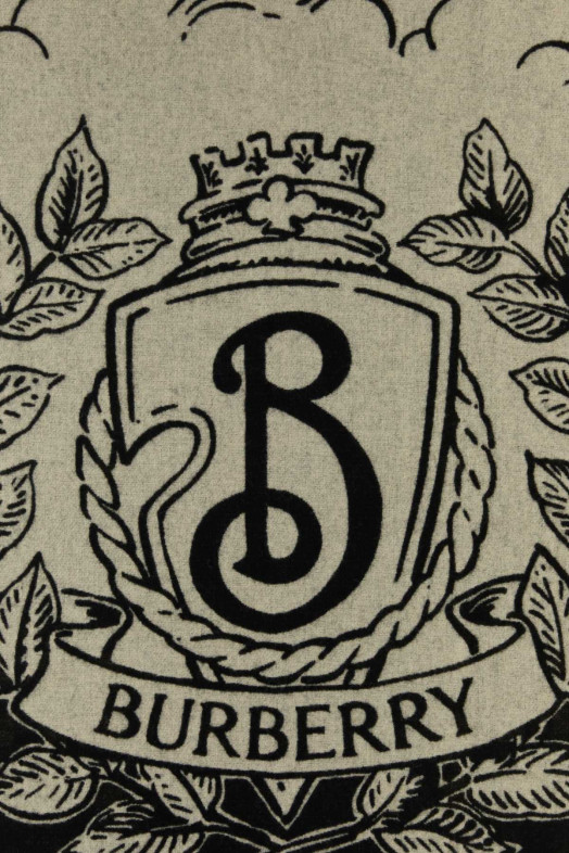 Embroidered cashmere scarf BURBERRY (8109372)