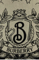 Embroidered cashmere scarf BURBERRY (8109372)