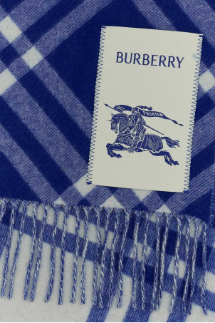 Embroidered cashmere scarf BURBERRY (8099710)