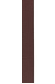 Brown leather belt CHLOE (CH26SBB14BLB)
