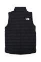 СИНТЕТИЧЕСКИЙ ЖИЛЕТ «B NEVER STOP» ОТ THE NORTH FACE (NF0A89HS)