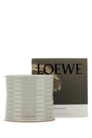 Medium Mushrooms scented candle LOEWE (LW79907)