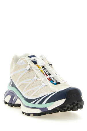 Кросівки «XT-6» Multicolor L49212400TAPIOCASPELLBOUNDLICHEN
