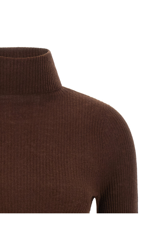 Ribbed turtleneck sweater Brown
