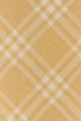 Embroidered cashmere scarf BURBERRY (8115258)