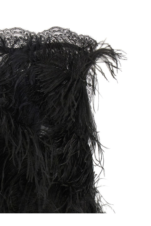 Lace and feather dress Black