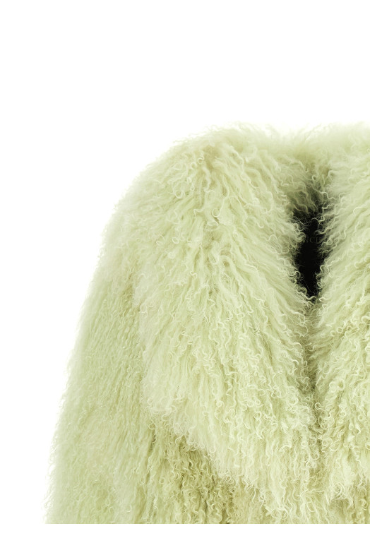 'Mongolia' fur Green