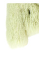 'Mongolia' fur Green