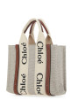 Multicolor fabric small Woody shopping bag CHLOE (CHC22AS397I26)