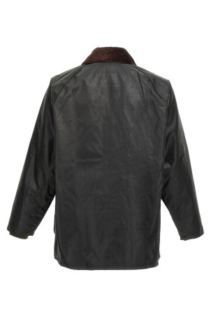 'Bedale' jacket Green