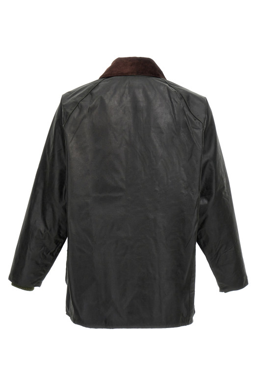 'Bedale' jacket Green