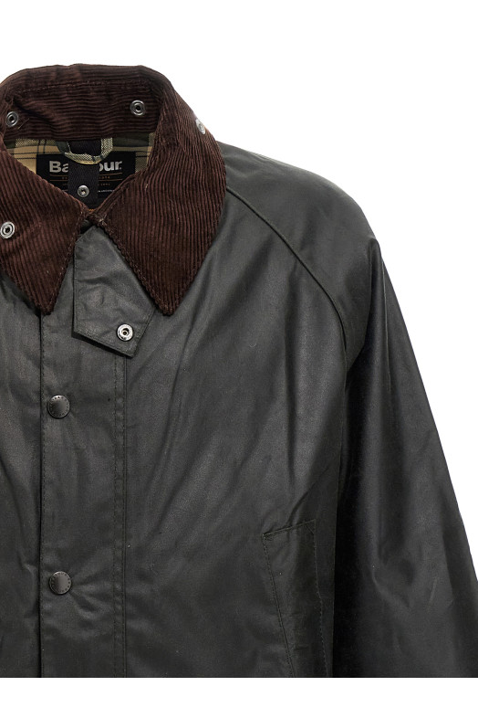 'Bedale' jacket Green