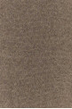 Dove cashmere Pyrite scarf THE ROW (A001026Y1032)