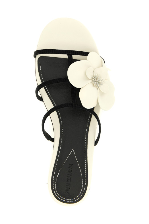 'Orchid' slides Black-grey