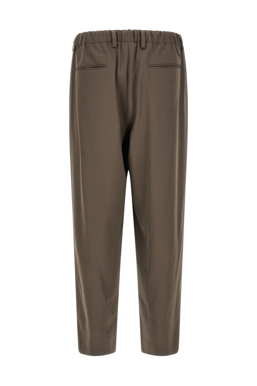 Pants with pleats Brown