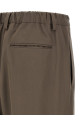 Pants with pleats Brown