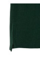 Бавовняна сорочка-поло з вишитим логотипом, зелена POLO RALPH LAUREN 710680784468