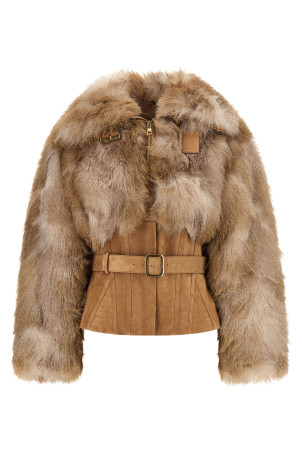 Bustier and belted jacket Brown