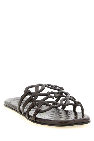 «Anagram Petal» витісняє Brown LPEA465X163110