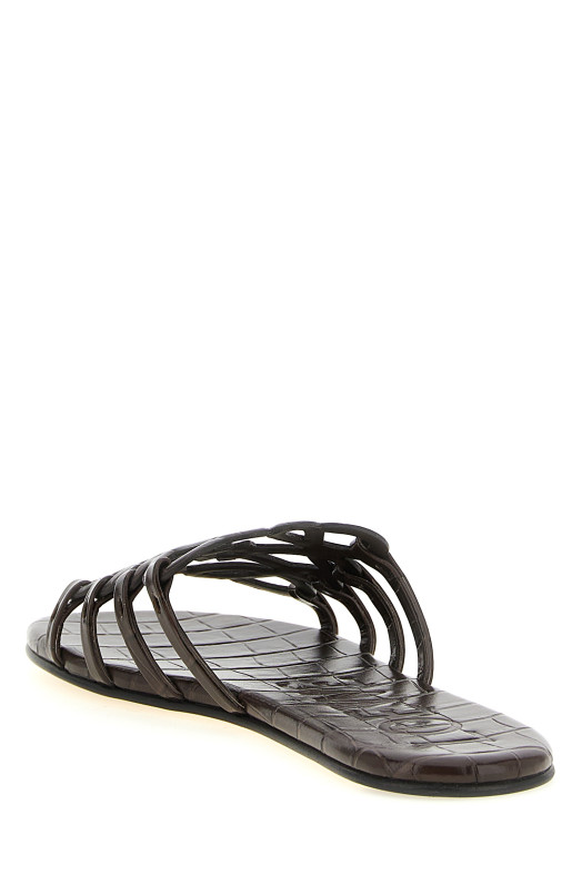 'Anagram Petal' slides Brown