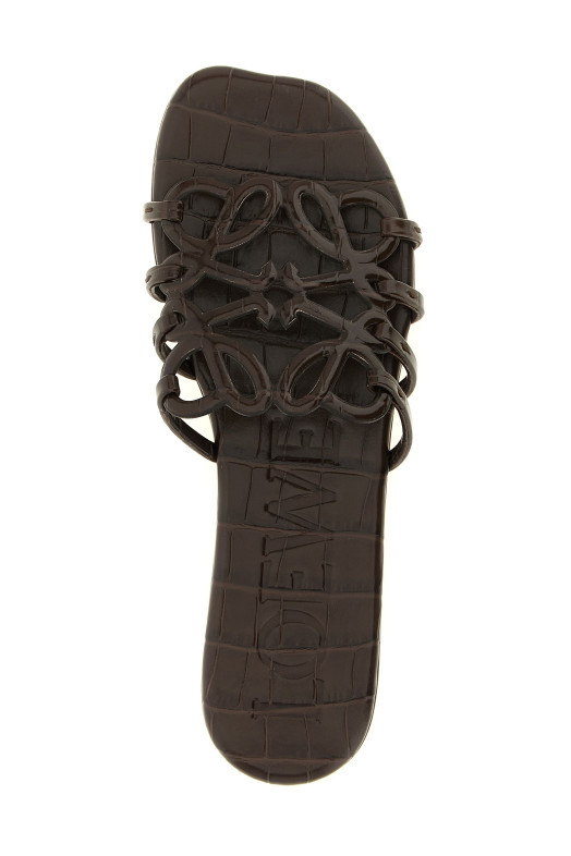 'Anagram Petal' slides Brown