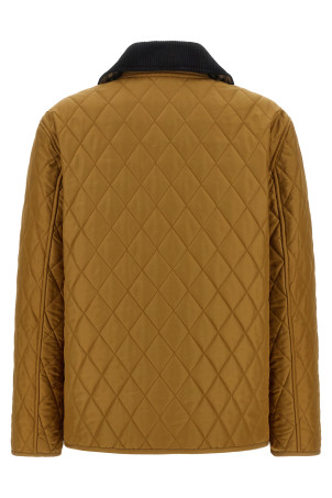 'Dranefeld' jacket Beige