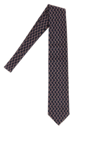 Embroidered silk tie BRIONI (O61D00OD448)