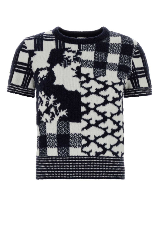 Embroidered wool LOEWE x Cosima Von Bonin sweater Blue LOEWE (S540Y14KI8)
