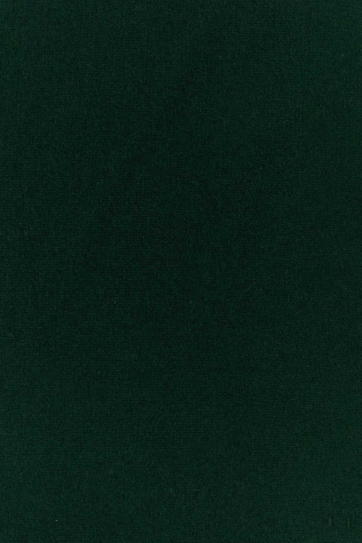 Бандана из эластичного кашемира № 35 бутылочно-зеленого цвета Green EXTREME CASHMERE (03518001TU10)