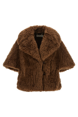 'Accorta' cape Brown