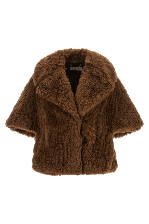 'Accorta' cape Brown