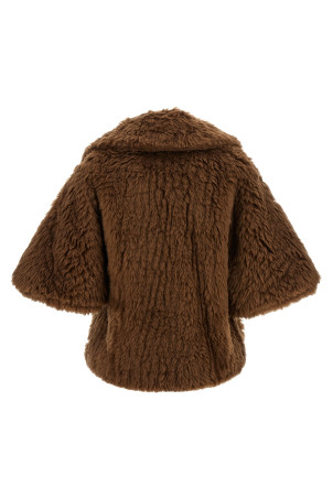 'Accorta' cape Brown