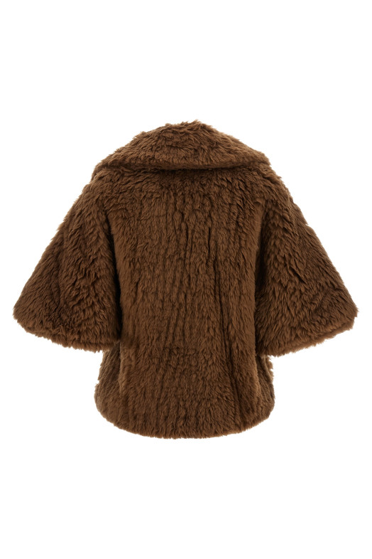 'Accorta' cape Brown