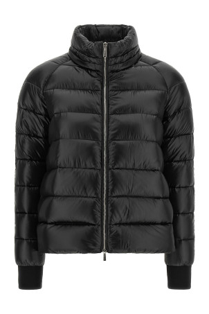 'Pegaso' jacket Black