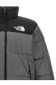 Пуховик «1996 Retro Nuptse», серый NF0A3C8DRPI1