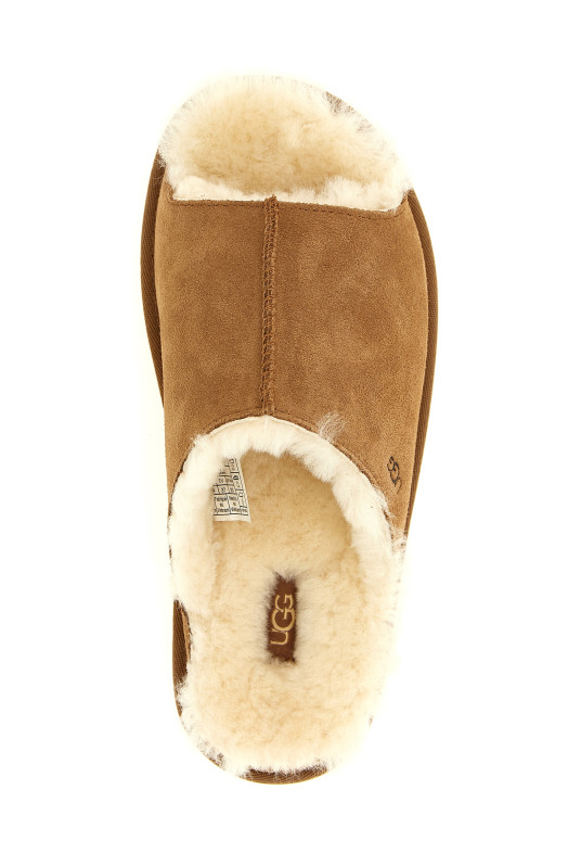 'Greenport' slides Brown